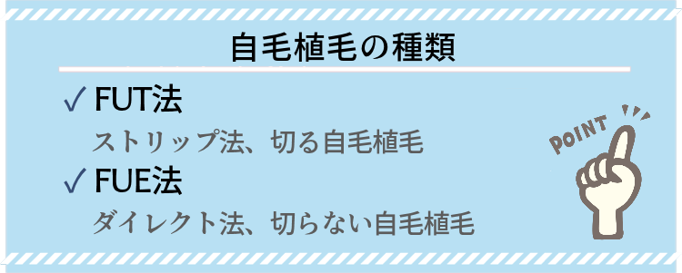 自毛植毛の種類